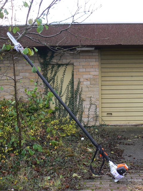 Hoogsnoeier | Benzine | Maximaal 3,9 meter huren